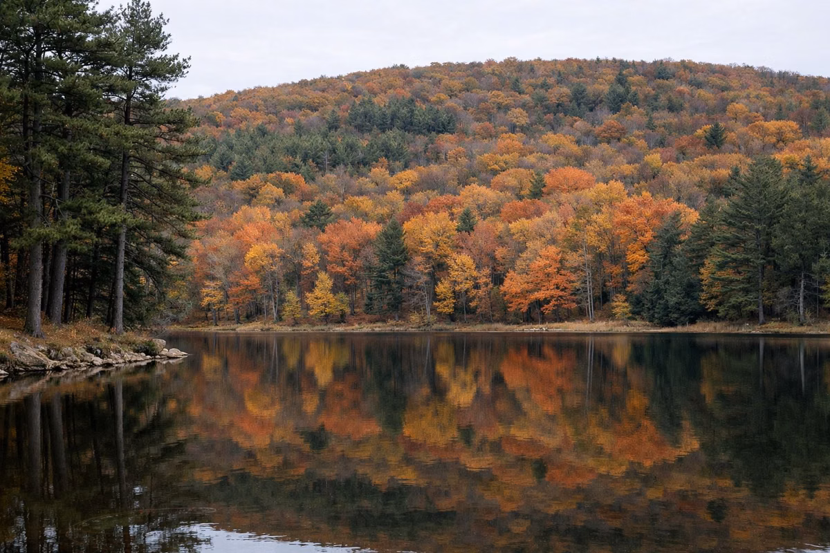 A small mountain lake reflecting a hillside of orange, red and yellow hardwoods, a few dark pines along the shore